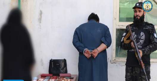 Two Pakistanis held on theft charges in Baghlan