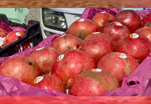 Export of pomegranate started from Kandahar to Russia for first time