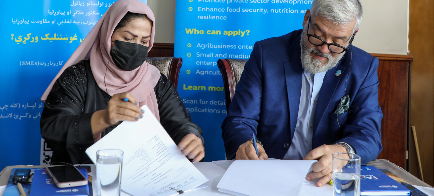 FAO, World Bank support Afghan agribusinesses with co-investment grants