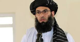 Foreign circles always tried to create divisions among Muslims: Khalid Haqqani