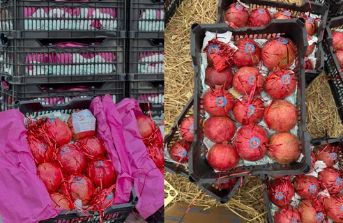 Exports of Kandahari pomegranates to Qatar begin for first time