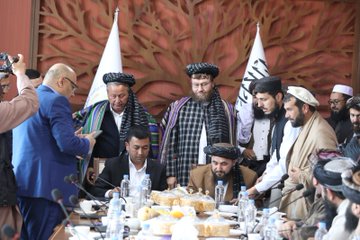 Agriculture minister, Uzbek officials discuss expansion of cooperation 