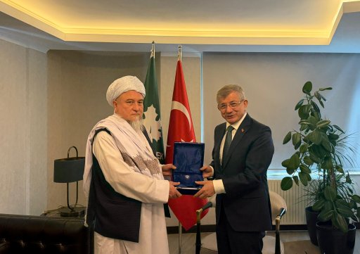 Afghanistan, Turkey discuss strengthening of political, economic relations 
