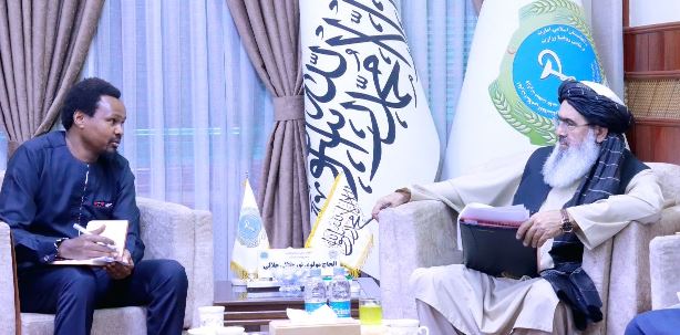 Afghan public health minister meets officials of international organisations