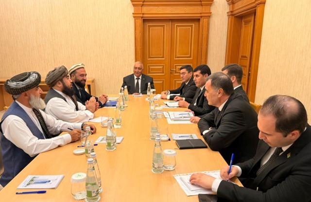 Afghanistan, Turkmenistan discuss expansion of electricity cooperation 