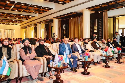 Pharmaceutical businessmen of Afghanistan, Uzbekistan sign 13 accords