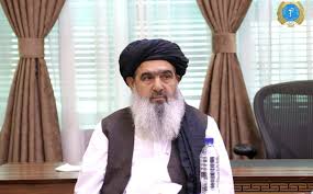 جلالي: هند افغانستان سره د روغتيا برخه کې د مېلونونه ډالرو مرستې ژمنه کړې