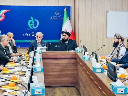 د روغتيا وزارت مرستيال ايران ته سفر کړی